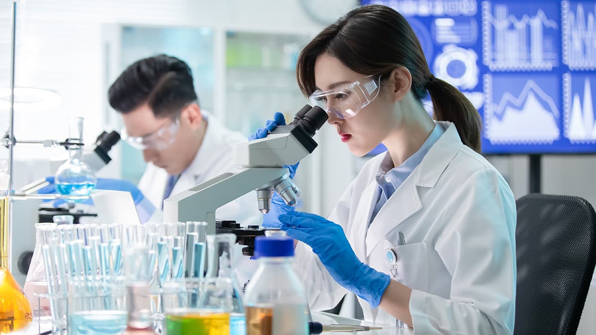 Scientists using microscopes in a laboratory